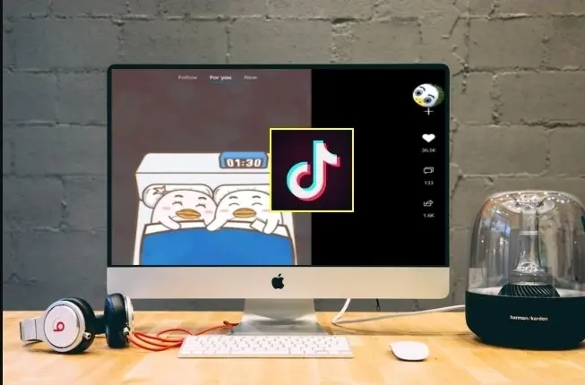 Installation of TikTok App on Personal Computer (Windows)