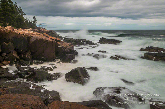 from Acadia National Park